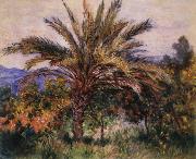 Claude Monet A Palm Tree at Bordighera oil on canvas